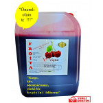 Froita 1+7 Konsantre Meyveli İçecek 5 LT Vişne