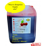 Froita 1+7 Konsantre Meyveli İçecek 5 LT Vişne