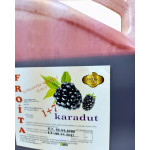 Froita 1+7 Konsantre Meyveli İçecek 5 LT karadut