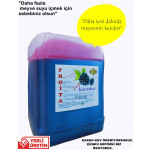 Froita 1+7 Konsantre Meyveli İçecek 5 LT karadut